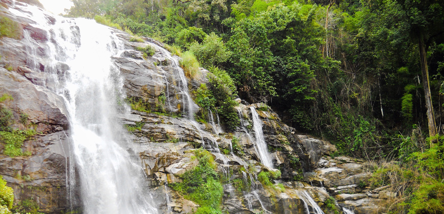 3 DAYS 2 NIGHTS TREK DOI INTHANON AREA